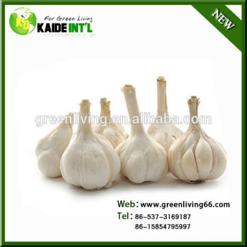 our factory export garlic, spice , vegetables and fruits